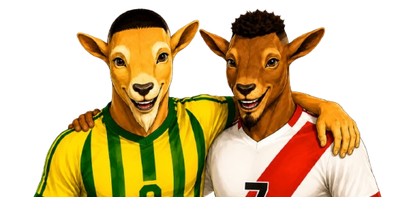 Conecte os Fenomenos